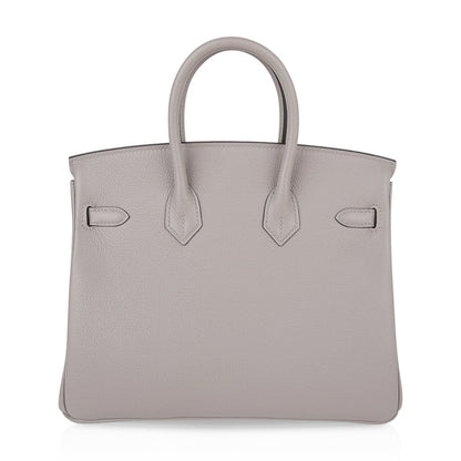Birkin 25 Bag Gris Asphalte Novillo Leather Gold Hardware