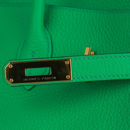 Birkin 35 Bag Bamboo Togo Leather with Gold Hardware