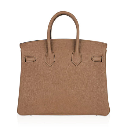 Birkin 25 Bag in Chai Togo Leather with Gold Hardware