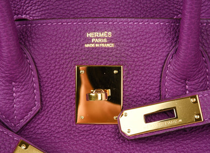 Birkin 30 Bag Anemone Togo Gold Hardware Exotic Purple Beauty