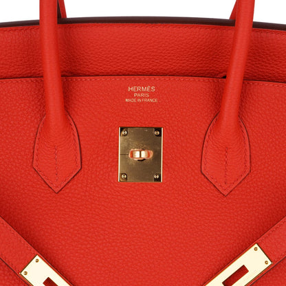 Birkin 35 Bag Capucine Togo Leather with Gold Hardware