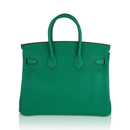 Birkin 25 Bag in Cactus Swift Leather with Gold Hardware