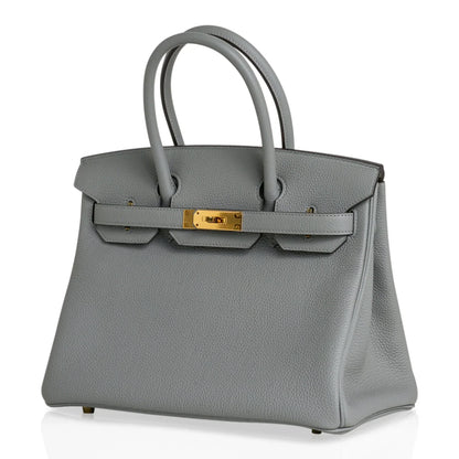 Birkin 30 Bag Gris Mouette Gold Hardware Togo Leather